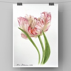 Original brand new watercolor still life ”A tulip” $65 art