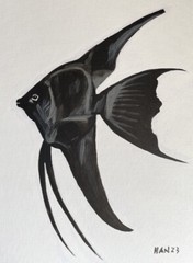 Black Angelfish 1, Fish Tank, Original Acrylic Painting, Signed, Art, 12×16