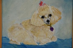 Miniature White Toy Poodle Art Painting Original on Board Framed Dog Collectible