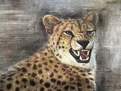 VINTAGE OIL PAINTING OF CHEETAH FROM 1960TH WITHOUT STRETCHER & FRAME.