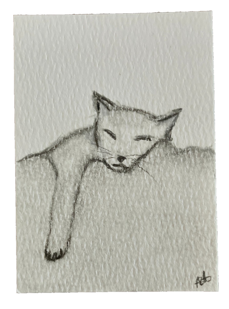 ACEO Original Art Graphite & Charcoal Drawing Cat Nap ATC by Smlldog