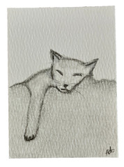 ACEO Original Art Graphite & Charcoal Drawing Cat Nap ATC by Smlldog