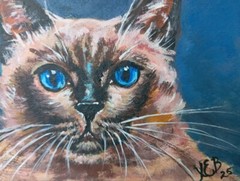 Siamese Cat Original Acrylic Painting Kitty Portrait Pet 6×8 Inch