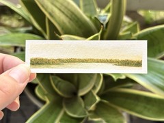 Original watercolor landscape triptych painting. “Golden hour on the Lakes” OOAK