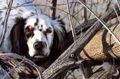 Hound Dog Animals Art Giclee Printed Oil Painting Print