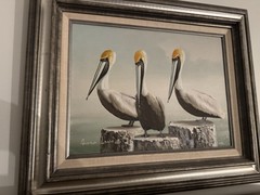 Pelican Oil Painting By Andre Lange