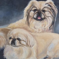 Large Original Oil Pekingese Dog Realism Framed & Signed 23 X 29
