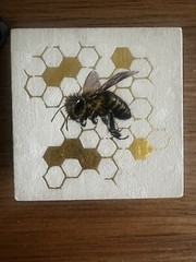 Vanessa Foley Gilded Honey Bee Oil On Wood 24kt Gold Leaf On Cradled Panel 🐝
