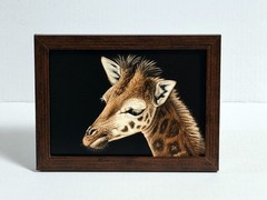 Original Wildlife Scratchboard Art GIRAFFE Painting African Animal Portrait SS