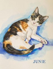 HAND-PAINTED CUSTOM PET PORTRAIT, cat portrait, dog portrait, gift for pet lover