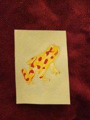 ACEO Original Acrylic Painting of a Yellow Dart Frog by Kiva