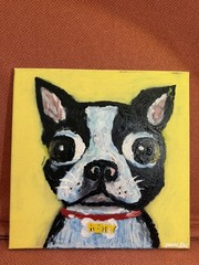 HAND PAINTED Boston Terrier Acrylic Painting On Canvas 12×12 KOREAN ARTIST 1/1
