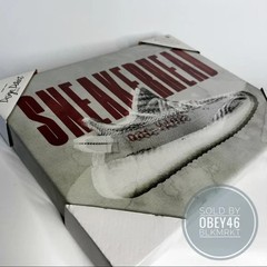 Design District X Adidas Yeezy V2 Zebra Sneakerhead Wall Art New 14×11
