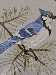 VTG 1988 Orig Blue Jay Watercolor Framed & Matted Signed Yvonne Lowrie 15″ X 12″
