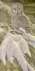 Original Bird Art Painting Great Gray Owl by Brandon Torgerson, Signed, 2008