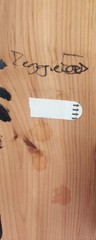 Original Signed Reggie Ford Art Jimi Hendrix Panel Epoxy on Wood 24×6″