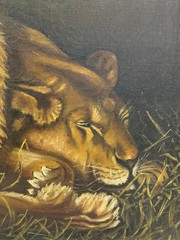 EMILE E. WEBER – Stunning Antique 1913 Oil Painting – Lion And Lioness At Rest