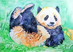 11.7 x 8.3″ Panda somersaults ~ original watercolor SIGNED & DATED