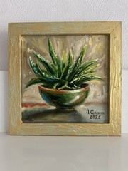 original oil painting still life 20х20cm Semi-Abstract aloe vera in Pot plant