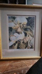 Watercolor Painting Of Magnolias By Angela Bradburn 2ftx20.5in