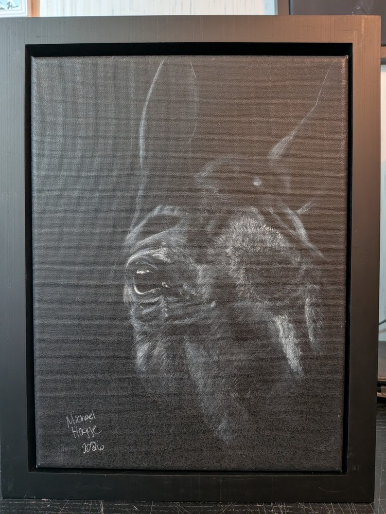 Original White Charcoal Horse Portrait on Black Canvas 11×14 Framed