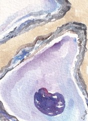 Original ACEO Oyster & Seashell Watercolor Painting – Mini Ocean Art