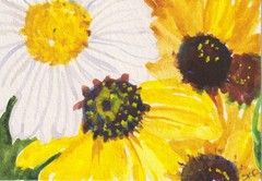 ACEO Black eyed Susans, Daisy Original Watercolor Art Painting Sharon Foster
