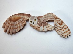 Hand Painted Owls For Wall Art By Phyllis