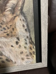 Artwork Cheetah By Judy Hawkins In Frame 15 X 15