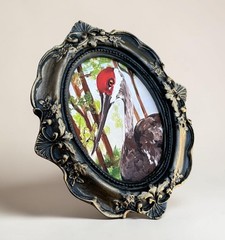 Sandhill Crane mini watercolor bird print • vintage style ornate frame