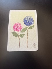 ACEO watercolor_with_g Happy Pink And Blue Hydrangeas Floral, Yellow Background