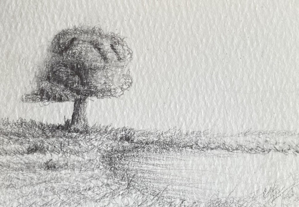 ACEO Original Graphite Painting
