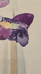 Original Watercolor Iris Painting Signed Margaret Selleck Framed Floral Art