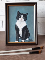 Black and White Cat Oil Original Painting Framed 7 by 5 Tuxedo Cat Green Eyes
