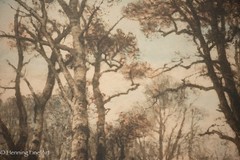 Antique Lithograph of Romantic Wooded Landscape w/ Figure by Stream