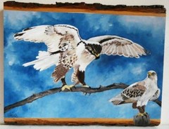 Hand Painted Two Hawks On Live Edge Basswood By Phyllis