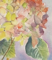 Hydrangea Original Watercolor Painting Flowers Wall Art Hand Made Painted