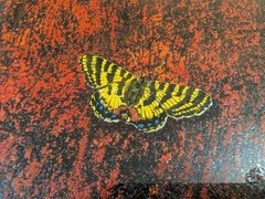 Yellow & Black Butterfly Relief Mixed Media Art Signed Japanese Texture Painting