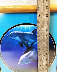 Christian Riese Lassen Dolphin Friends Framed & Matte Picture 15.5 x 12.25