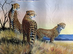Oil Painting of Cheetahs on African Landscape 20×30 Vivid Colors Wild Animal