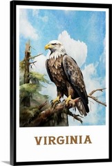 Virginia Bald Eagle Art Retro Travel Poster, Canvas Or Framed 1930s Vintage