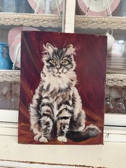 Antique Oil Painting 1950S Maine Coon Tabby Cat On Board Signed