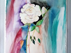 MARION STEEN SIGNED WATERCOLOR PAINTING WHITE ROSE FLOWER CONTEMPORARY ART