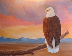 Original oil painting wildlife bald eagle USA symbol sunrise Carol Proebstel