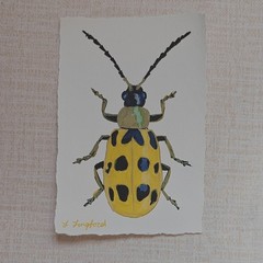 Original Beetle Painting Small Acrylic on Handmade Cotton Paper Deckled Edge