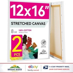 Art Studio Canvas Set of 2, 12×16 Inches for Painting and Illustrating