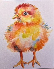 Colorfu Little chic Bird art watercolor painting,nature lover Best gift 4.5×3.5″