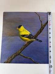 Estate Owned Hobby Artist Acrylic Gold Finch Bird Painting 11×11 on Birch Panel