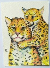 Jaguar cub biting mother playful baby big cat ATC aceo wildlife love animal orig