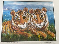 William Gregg „Tiger Twins by the Bay“ Signed Print 9.5 x 7.5″ Matted 14×11″